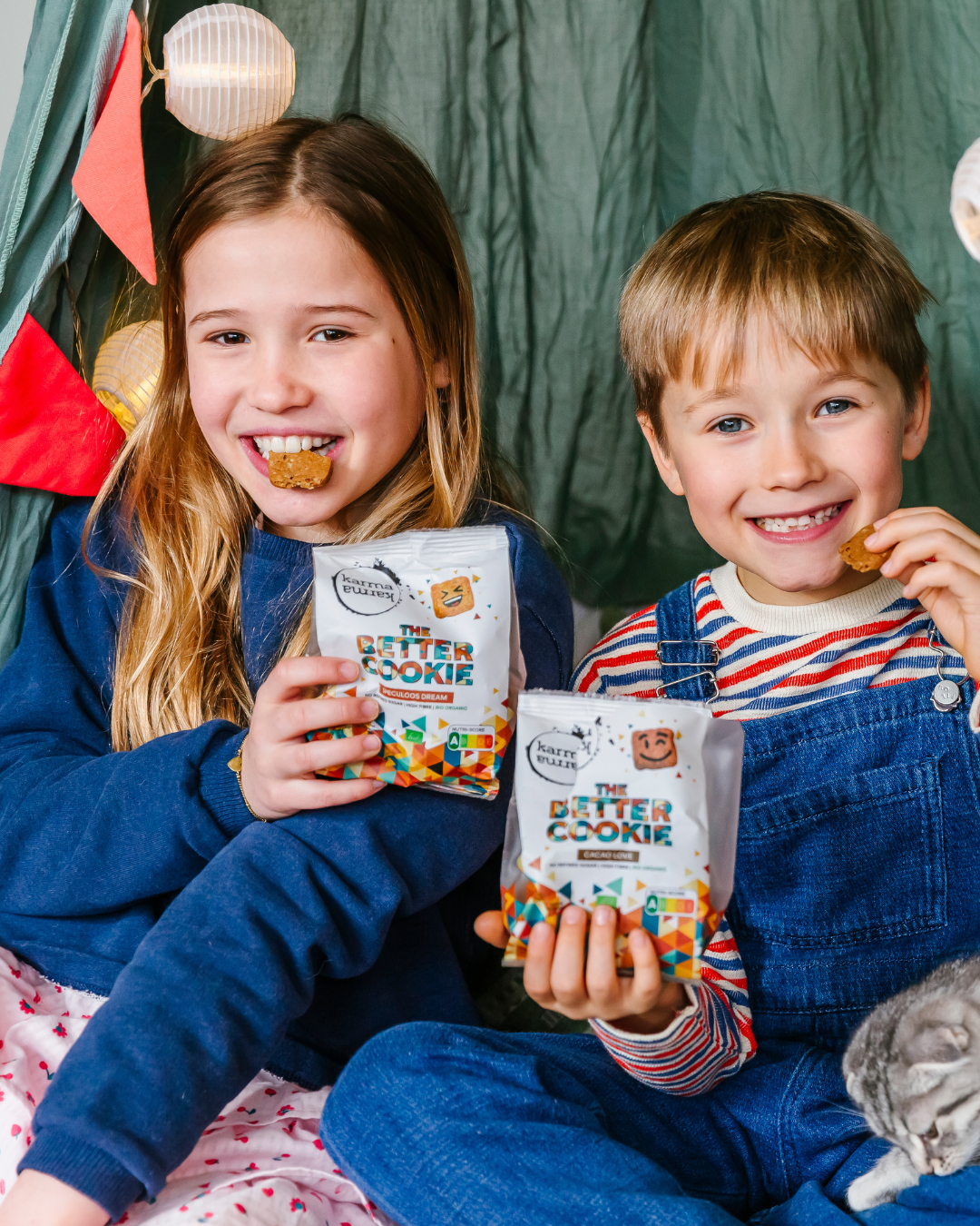 The Better Cookie | Bio | Speculoos Dream | 5 x 100 g 